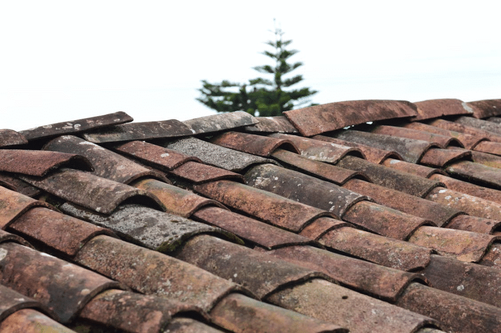 Close up of weathered, overlapping clay roof tiles, showcasing the charm of traditional roofing with a blurred tree and sky in the background.