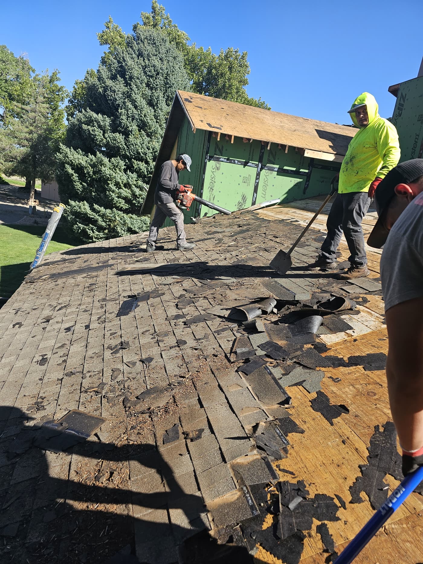 WSM crew tearing off old shingles down to the roof deck, Grand Junction CO